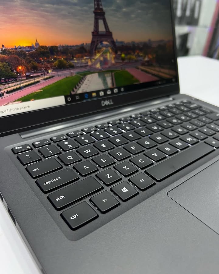 Dell latitude 7300